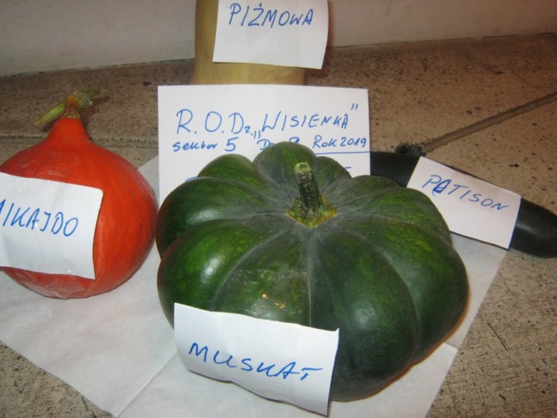 photo5.jpg